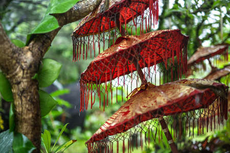 Red triple umbrella with the golden patterns and the fringe on the blurry background of the green trees. Water drops drains on it. Outdoors. Closeup. Horizontal.の写真素材