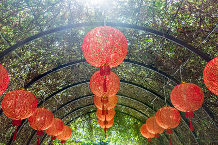 Many hanging asian red lanterns on the arch trellis with green creeper plants. Sunlight shines from above on them.の写真素材