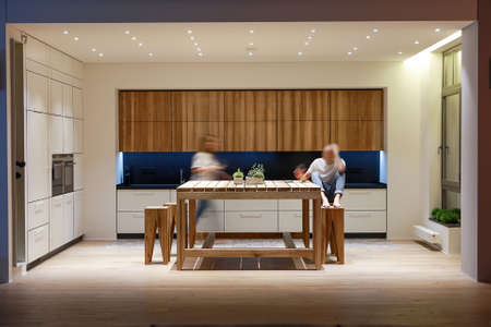 Kitchen in modern style