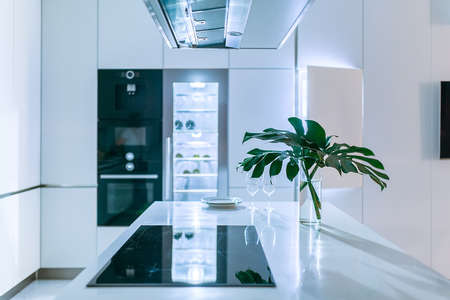Kitchen in modern styleの写真素材