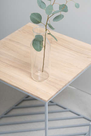 Glass vase with a green branch of eucalyptus stands on the wooden-metallic stands on the gray background in the studio. Closeup. Vertical.の写真素材