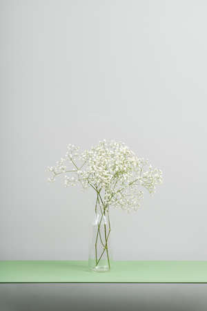 White flower's branch in the glass vase on the green metal rack on the gray wall background in the studio. Closeup. Vertical.の写真素材