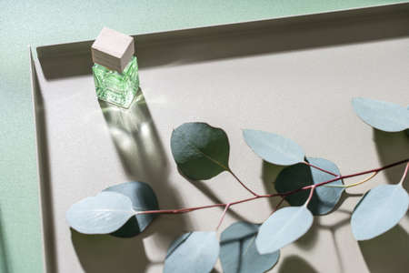 Eucalyptus branch on the metal beige support on the green table indoors. Next to it there is a glass...