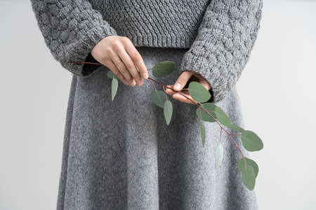Photo of a girl in a gray knitted pullover and a skirt on the light gray background in the studio. She holds an eucalyptus branch in the hands. Closeup. Horizontal.の写真素材