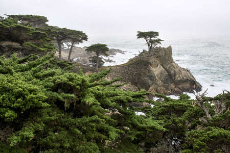 Pebble Beach in San Franciscoの写真素材