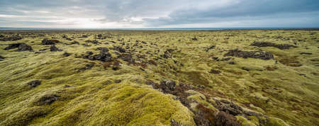 Icelandic landscape of moss fieldの写真素材