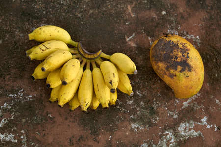 Colorful bananas and papayaの写真素材