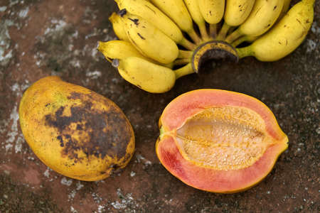 Colorful papayas and bananasの写真素材