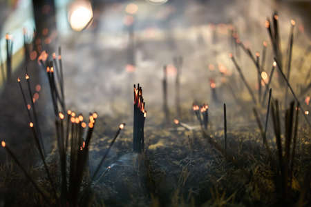 Aroma sticks inside buddhist templeの写真素材