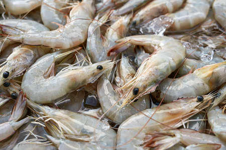 Many shrimps on marketの写真素材
