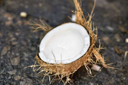 Sliced coconut on groundの写真素材