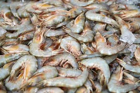 Many shrimps on marketの写真素材