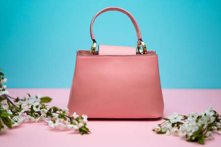 Female leather bagの写真素材