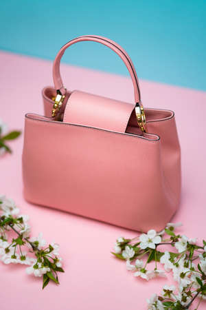 Female leather bagの写真素材