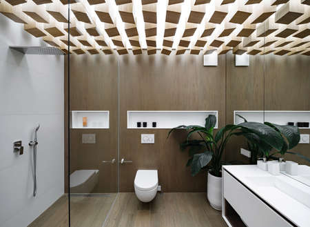 Luminous modern bathroom with design ceiling and wooden walls. There is a glass shower cabin with light tiled wall, white toilet, sink with a mirror, white niches, plant in the big pot. Horizontal.の写真素材