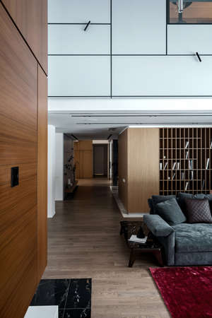 Hall in a modern style with light walls and a parquet with a red carpet on a floor. There is a sofa with pillows, small table, wooden lockers, shelves with books, hanging lamps, corridor with door.の写真素材