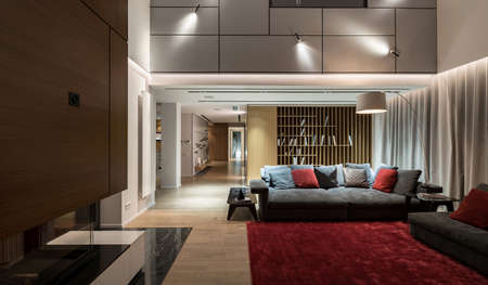 Luminous modern hall with light walls and a parquet with a red carpet on a floor. There are sofas with pillows, small table, fireplace, shelves with books, corridor with a column, different lamps.の写真素材