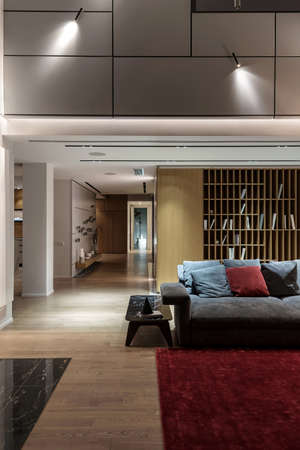 Illuminated modern hall with light walls and a parquet with a red carpet on a floor. There is a sofa with pillows, small table, shelves with books, corridor with a column and a wall with decorations.の写真素材