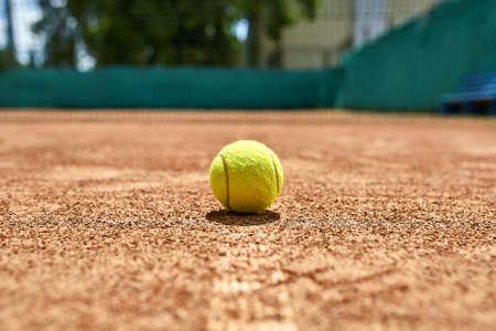 Yellow tennis ball on the ground on the court outdoors. Sun shines on it. Closeup. Horizontal.の写真素材