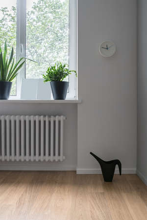 Room in modern style with light wallsの写真素材