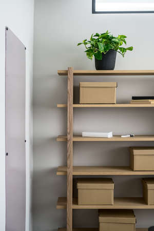 Wooden shelves on the gray wall background in the luminous interior. On them there are cardboard boxes, green plant in the pot, books and markers. On the walls there is a board and a mirror. Closeup.の写真素材