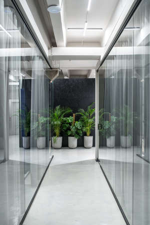 Trendy interior in a luminous office in a loft style with gray and textured black walls and a glossy floor. There are glass partitions with doors and curtains, green plants in the big pots. Vertical.の写真素材