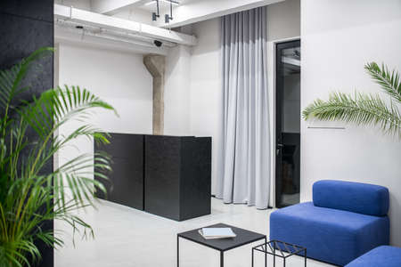 Hall in a luminous office with gray and textured black walls and a concrete column. There is a dark reception desk, glass door, curtain, blue sofas, small stands with books, green plants. Horizontal.の写真素材