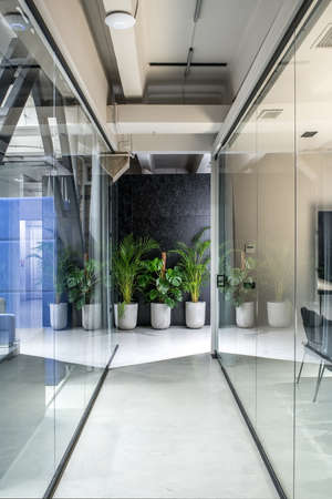 Nice interior in a luminous office in a loft style with gray and textured black walls and a glossy floor. There are glass partitions with doors and curtains, green plants in the big pots, elevator.の写真素材