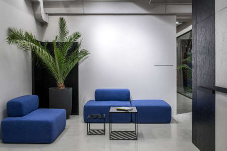 Relax zone in a luminous office with gray and textured black walls and a glossy floor. There are blue sofas, small stands with books, green plant in a big pot, glass partitions with curtain.の写真素材