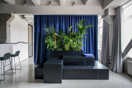 Hall in an office in a loft style with gray walls and a glossy floor. There are wooden black stands with lockers and green plants and a blue pillow, windows, multicolor curtains, chairs, glass door.の写真素材