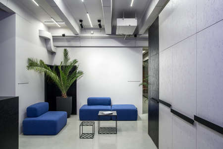 Zone for relax in a luminous office with gray and textured black walls and a glossy floor. There are blue sofas, small stands with books, green plant in a big pot, lamps. Horizontal.の写真素材