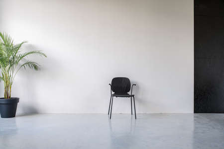 Black wooden chair on the background of the gray and textured black walls in an office with glossy floor. There is a green plant in a big pot on the left side. Horizontal.の写真素材