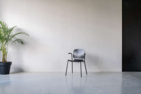 Dark wooden chair on the background of the gray and textured black walls in an office with glossy floor. There is a green plant in a big pot on the left side. Horizontal.の写真素材