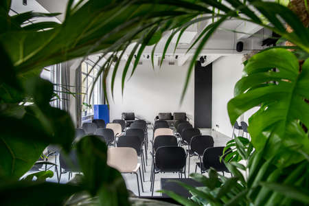 View through the green leaves at the conference hall in a loft style with gray walls. There are many multicolor chairs, windows with curtains, dark armchair and a sofa, blue stand, lamps and speakers.の写真素材