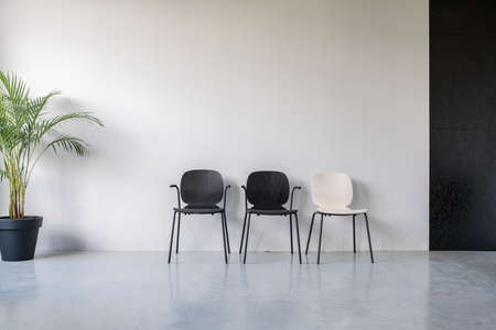 Few black and beige wooden chairs on the background of the gray and textured black walls in an office with glossy floor. There is a green plant in a big pot on the left side. Horizontal.の写真素材