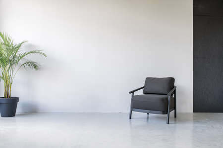 Lonely dark armchair on the background of the gray and textured black walls in an office with glossy floor. There is a green plant in a big pot on the left side. Horizontal.の写真素材