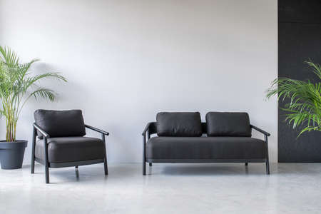 Place for relax in an office with gray and textured black walls and a glossy floor. There is a dark sofa and an armchair, green plants in the pots. Horizontal.の写真素材