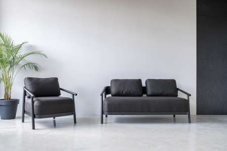 Relax zone in an office with gray and textured black walls and a glossy floor. There is a dark sofa and an armchair, green plant in a big pot. Horizontal.の写真素材
