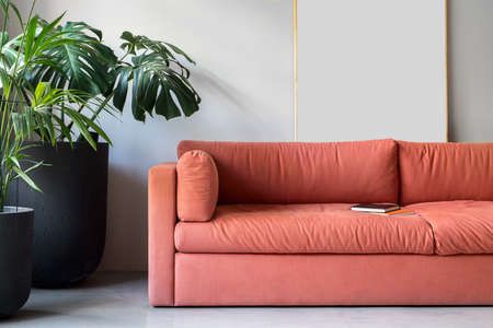 Zone for relax in an office in a loft style with gray wall. There is a peach sofa with books, green plants in big black pots. Closeup. Horizontal.の写真素材