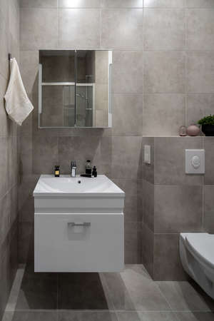 Great luminous bathroom in modern style with gray tiled wallsの写真素材