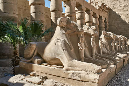 Row of ancient egyptian ram statues in Karnak Templeの写真素材