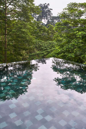 Nice swimming pool on background of tropical green trees outdoorsの写真素材