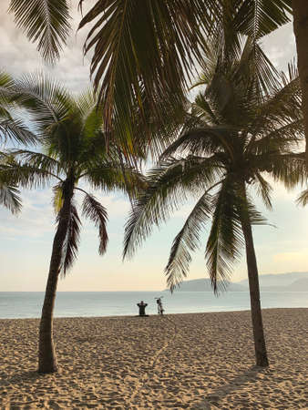 Tropical sand beach with palm trees and sitting guy with bicycleの写真素材
