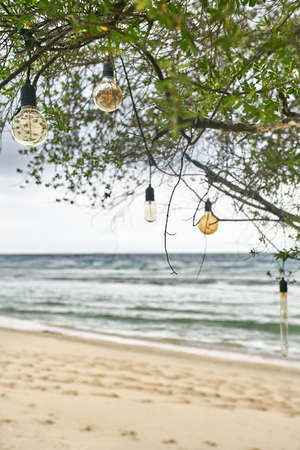 Edison lamps hanging on cables on green tree on sand beachの写真素材