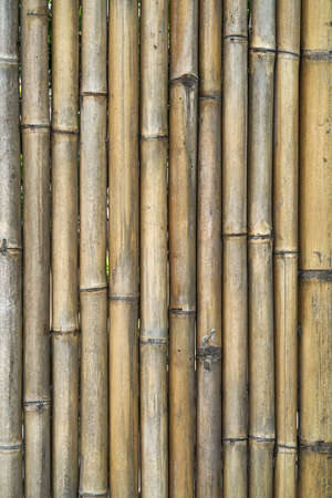 Asian traditional bamboo wall made of vertical trunksの写真素材