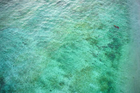 Top view at horse which stands in tropical sea water