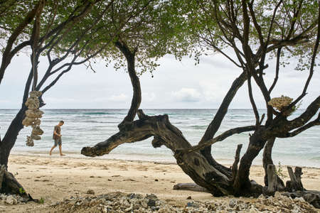 Handsome guy walking on tropical sand beachの写真素材