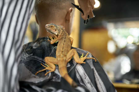 Man is cutting his hair in asian barbershopの写真素材
