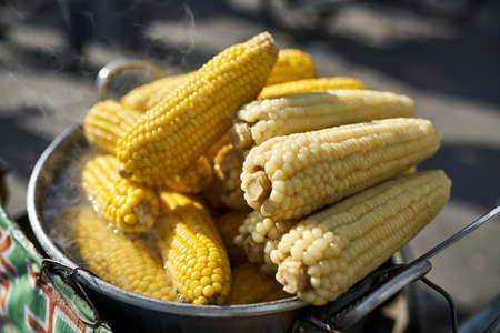 Steaming boiled yellow maize in steel pan outdoorsの写真素材