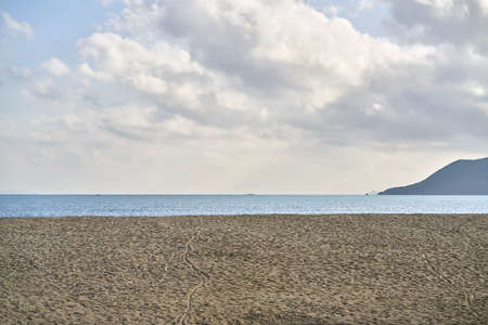 Beautiful morning landscape of empty sand beach in Vietnamの写真素材